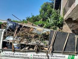 Professional Junk Removal Services in Coal Valley, IL