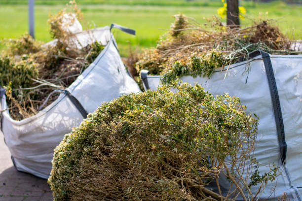 Same-Day Junk Removal Services in Coal Valley, IL